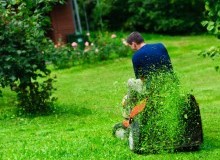 Kwikfynd Lawn Mowing
waterlootas