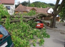 Kwikfynd Tree Cutting Services
waterlootas
